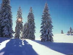 Schatten im Schnee in Flecken