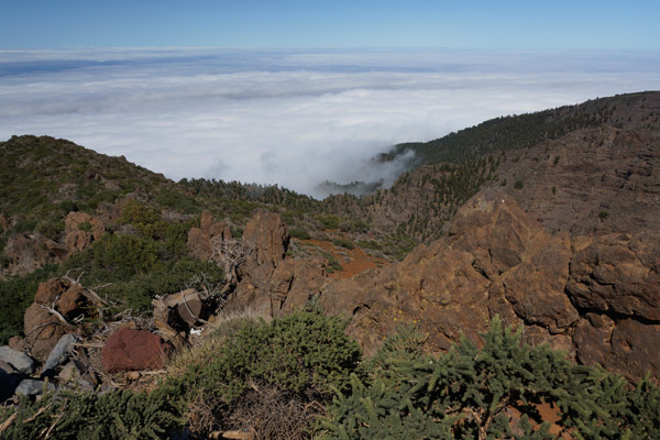 Nebelschwaden am Roque de los Muchachos